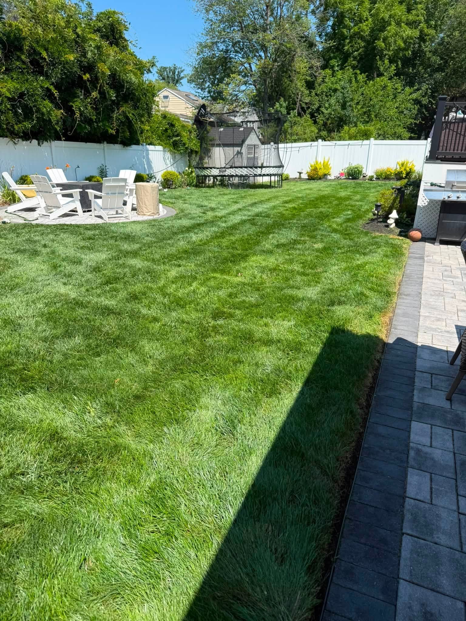Freshly maintained Doctor Lawn backyard