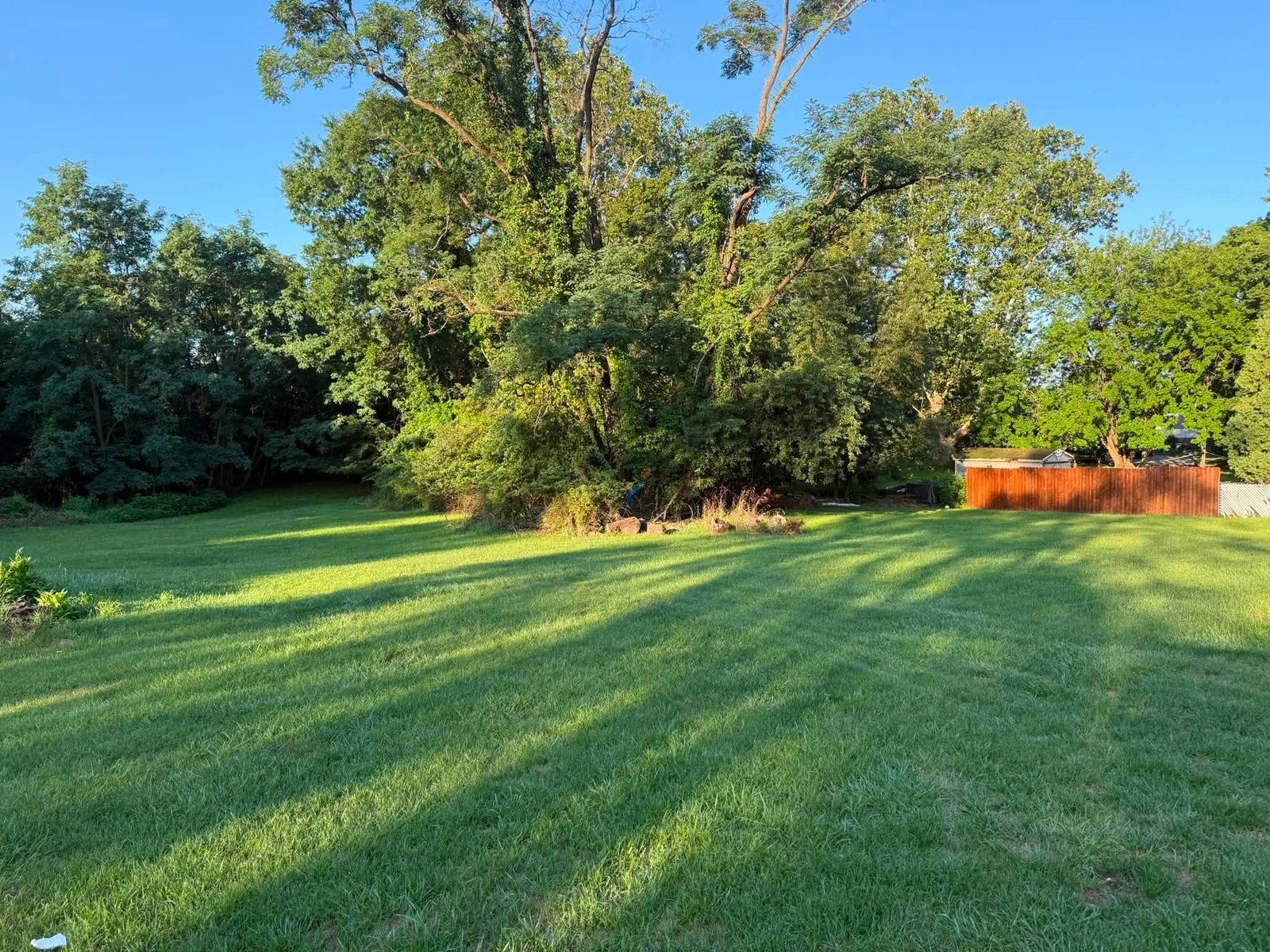 Large freshly cut green lawn